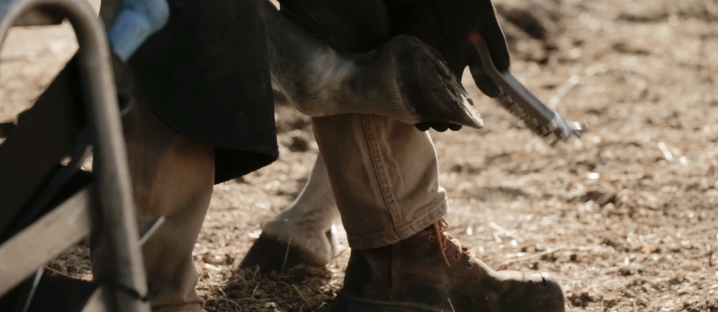 Screen Shot 2023-05-31 at 12.52.45 PM.png