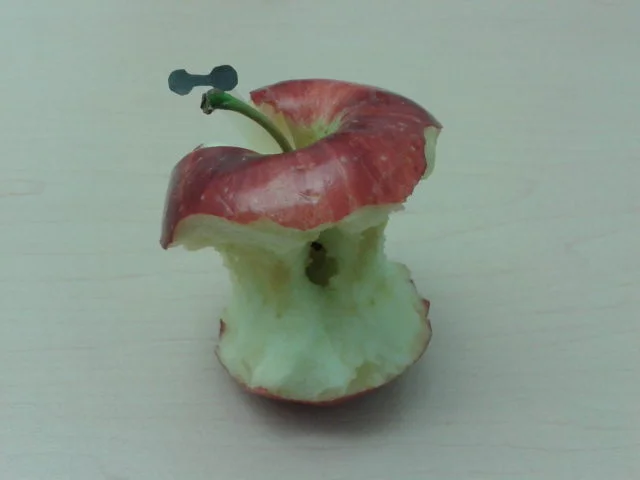apple core.jpg