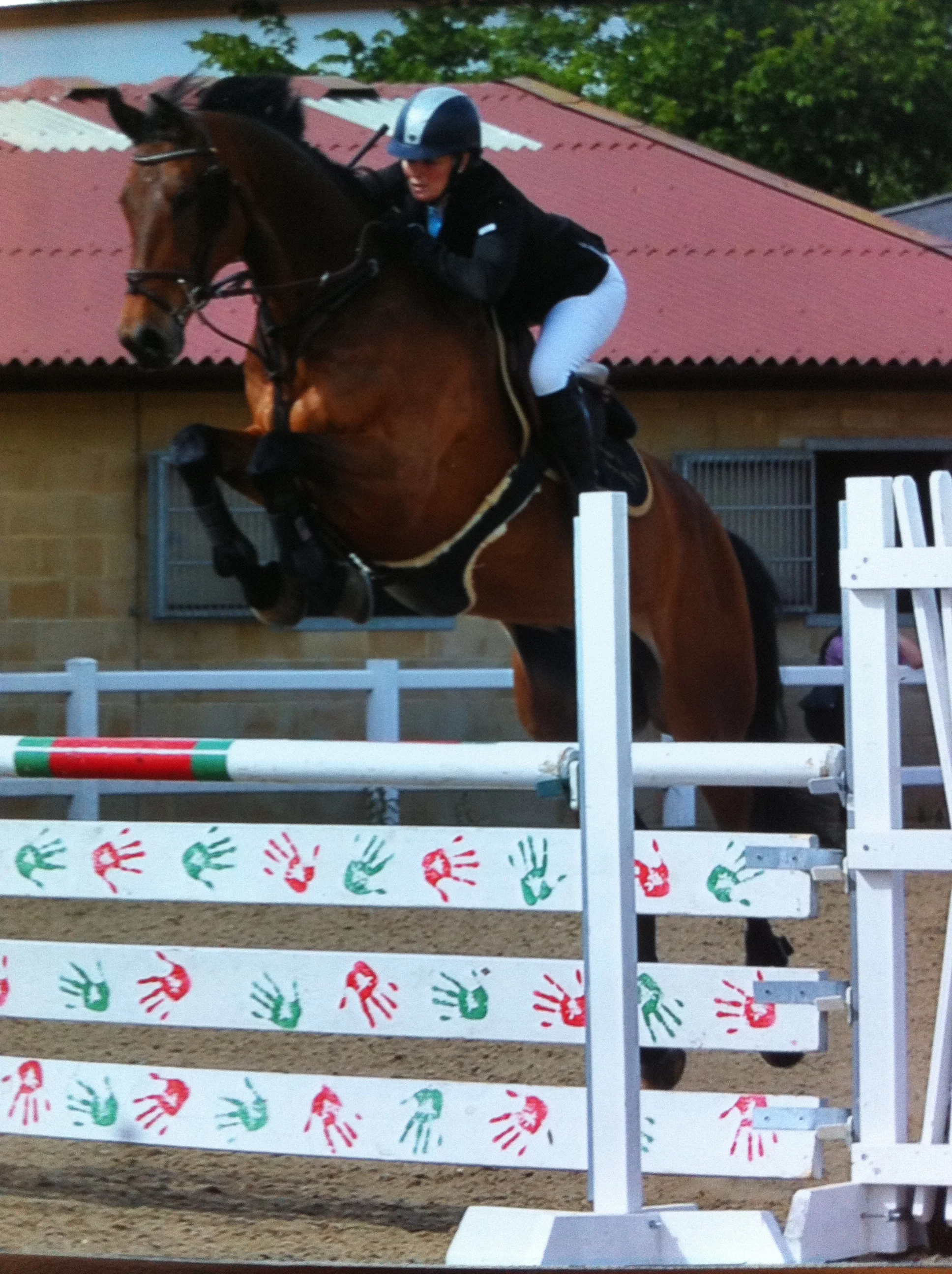 Calvaro B 6yrs old