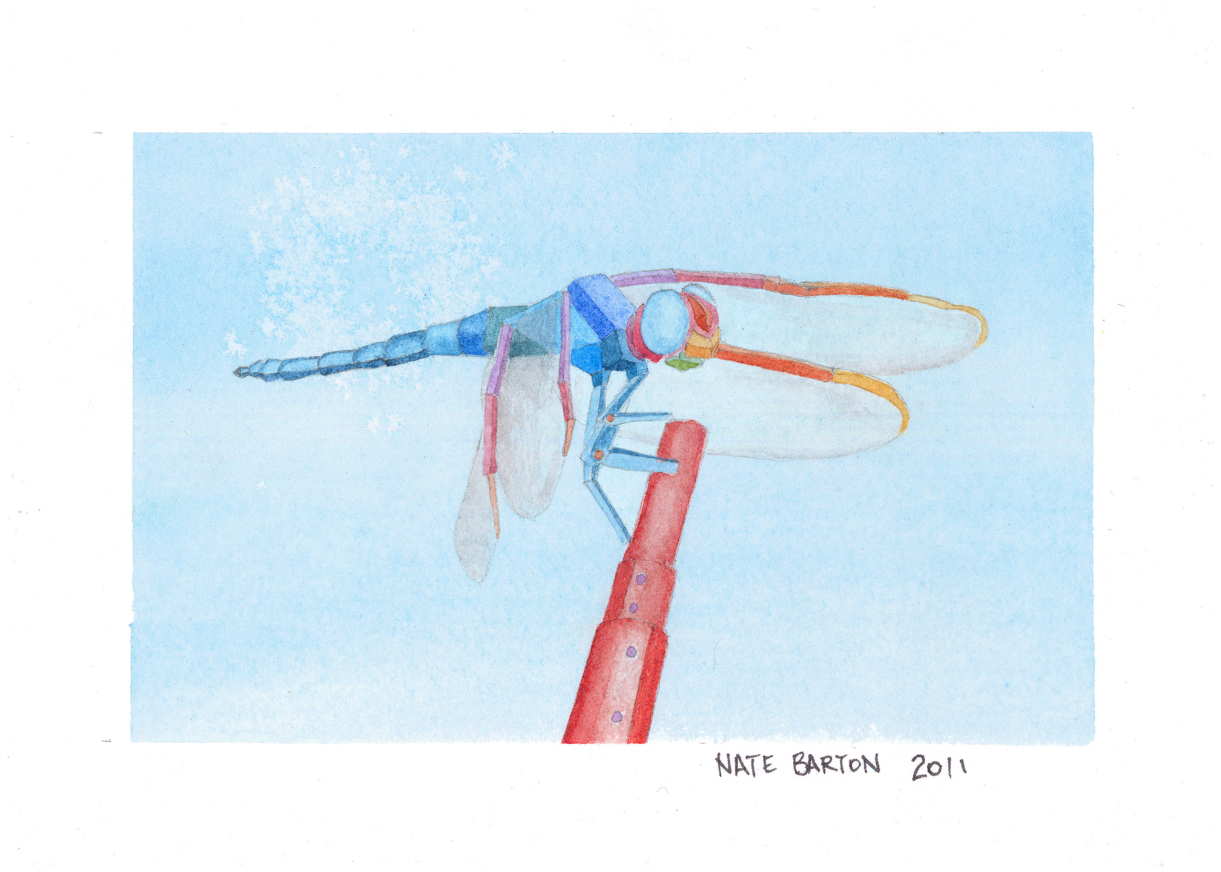 D is for Dragonfly