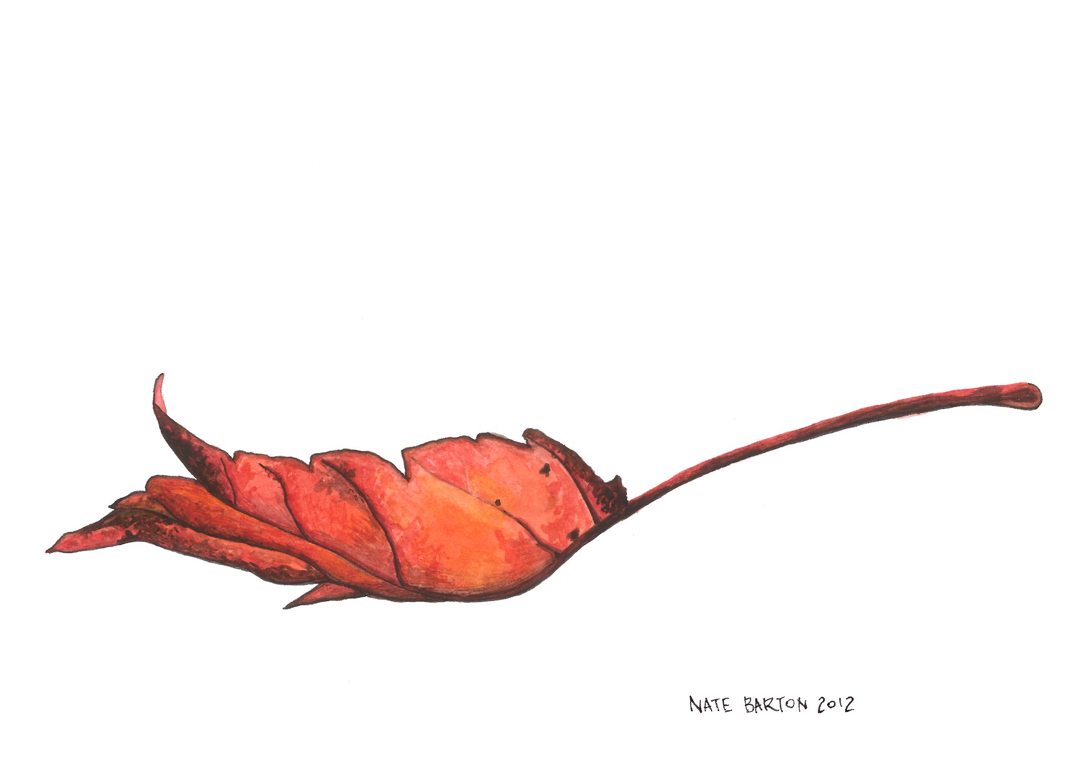 Red Leaf.jpg