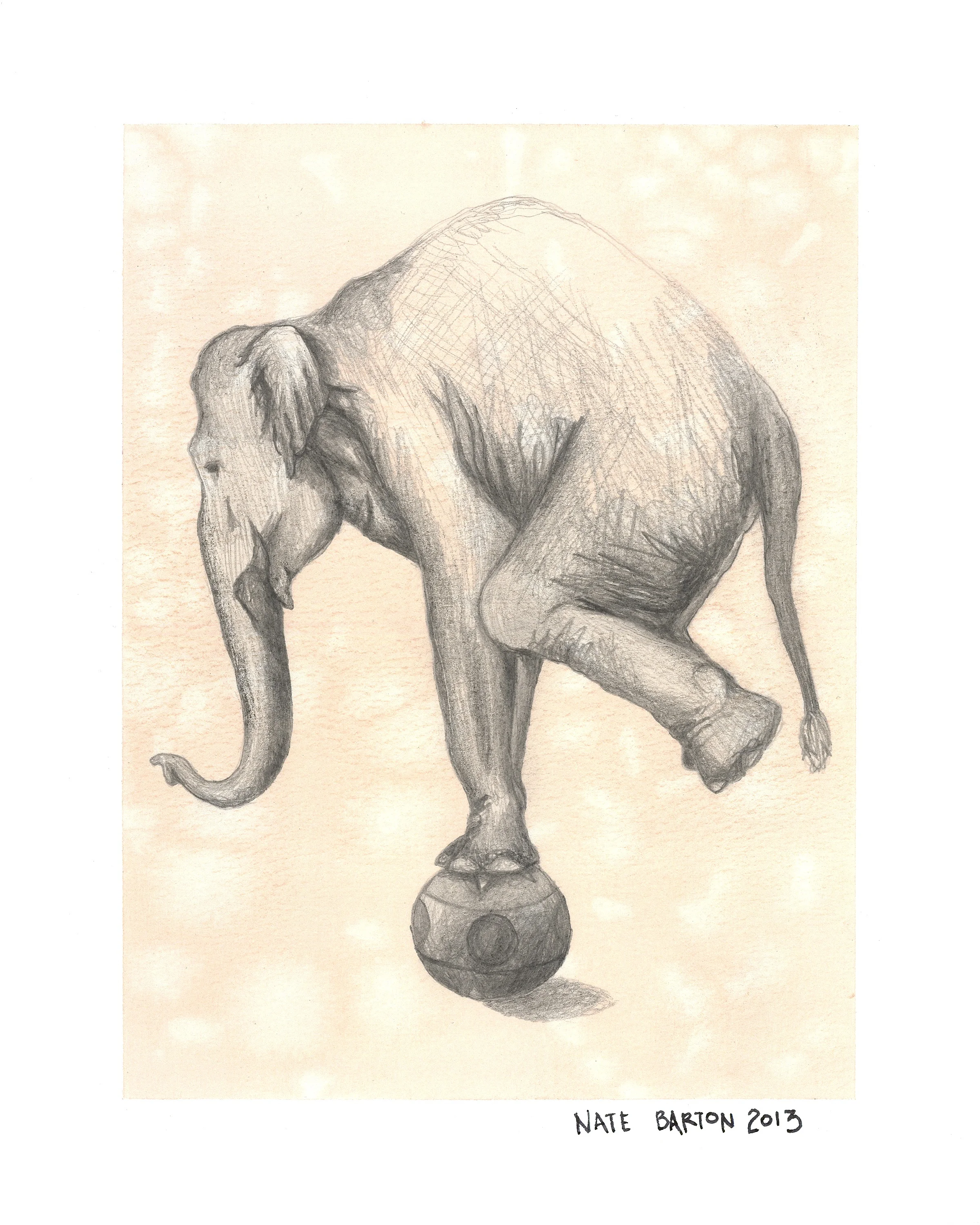 Circus Elephant.jpg