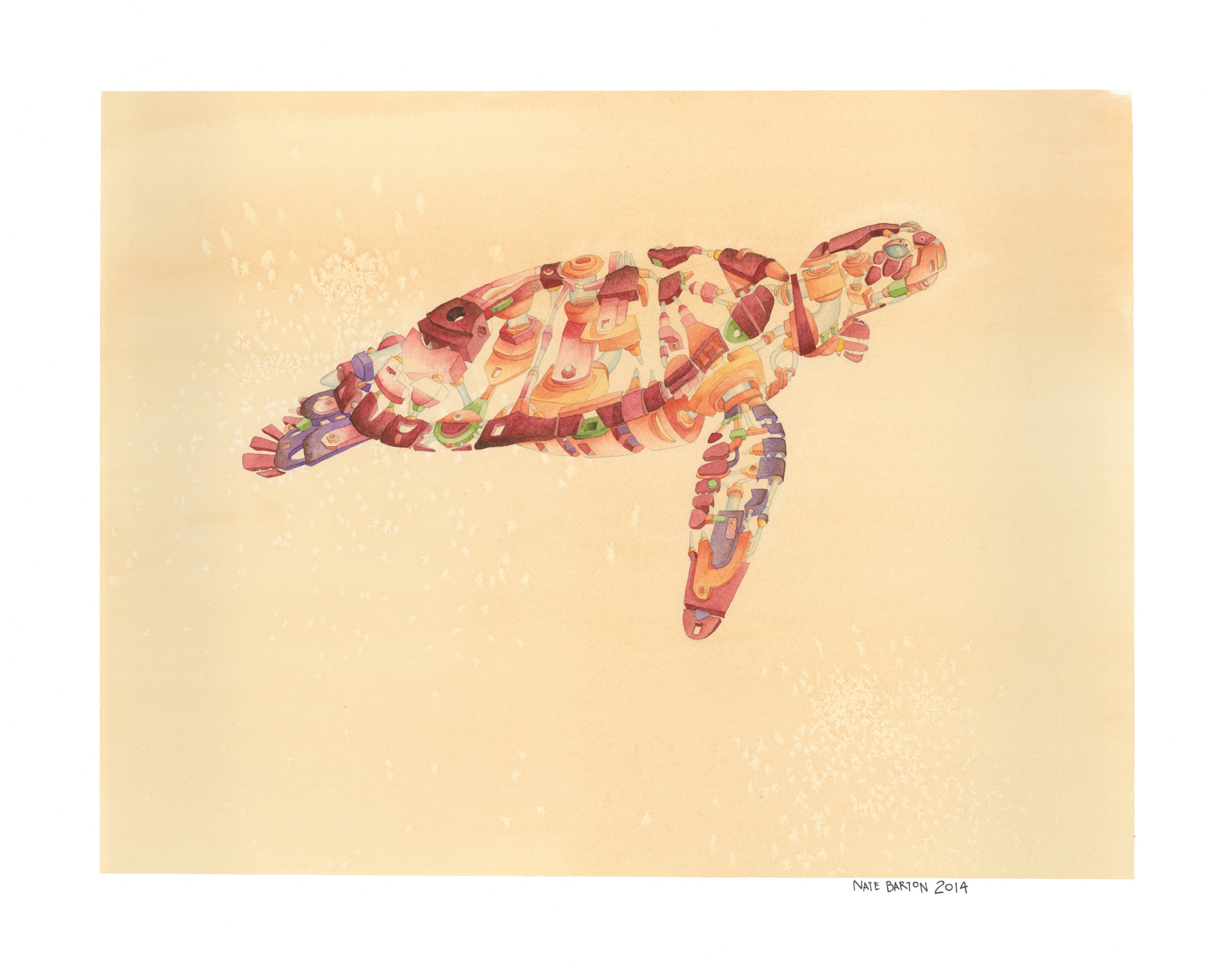 Sea Turtle 4.jpg