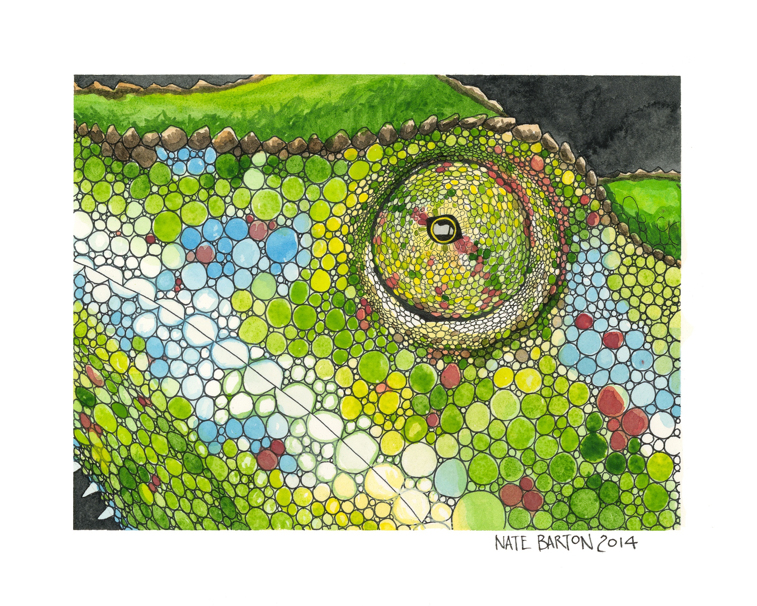 Chameleon Skin V