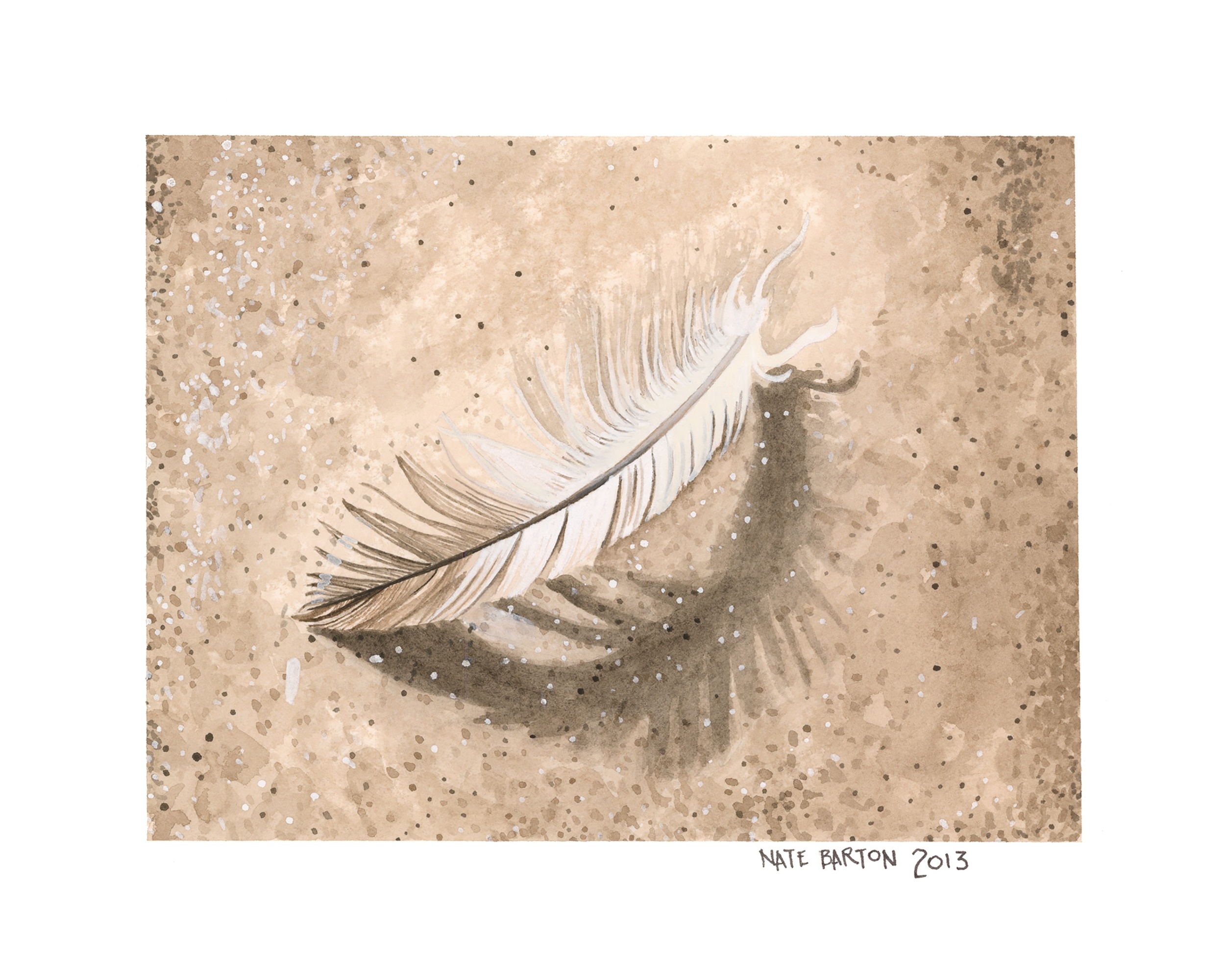 Beach Feather
