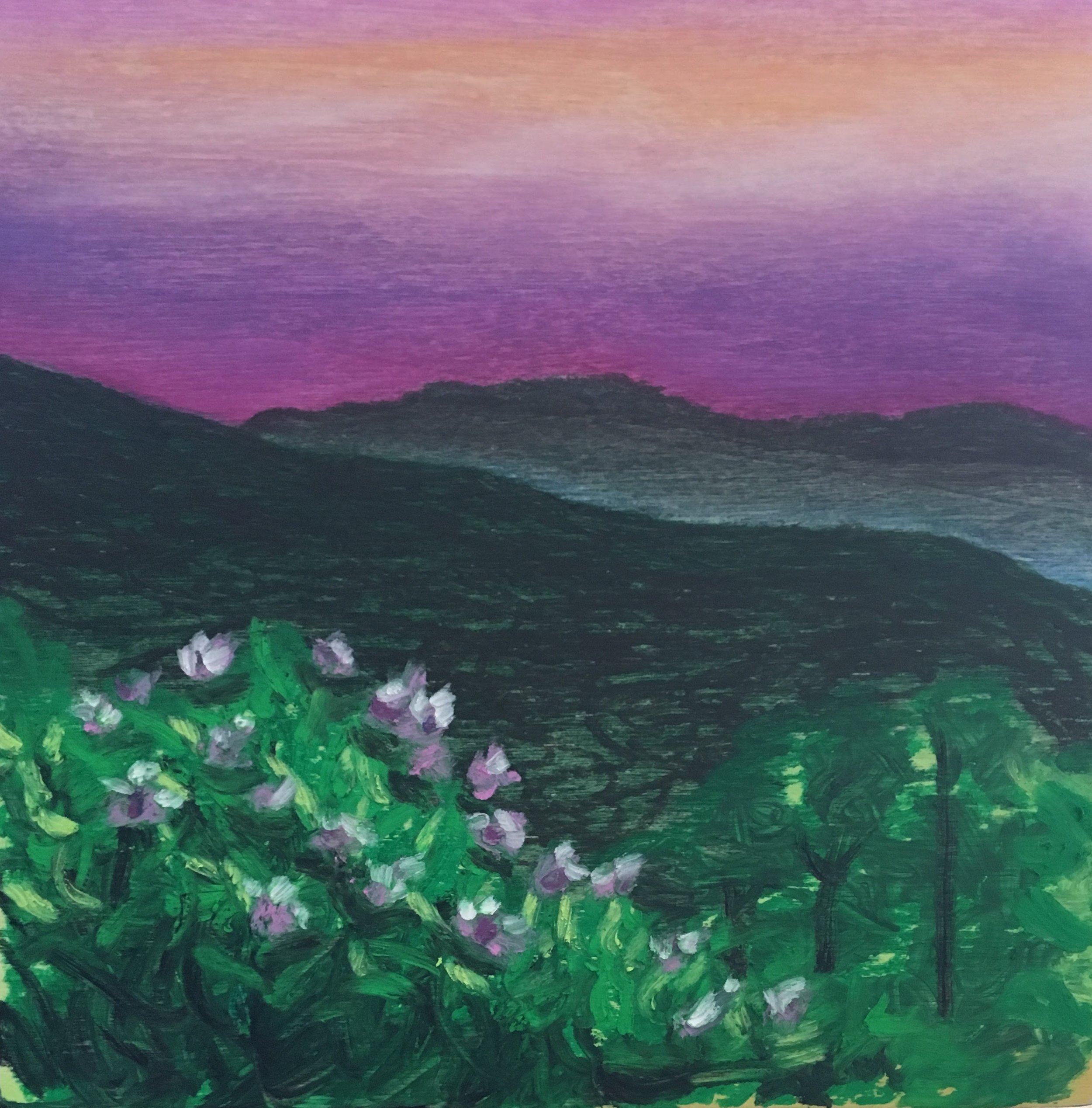 Spring in the Mountains