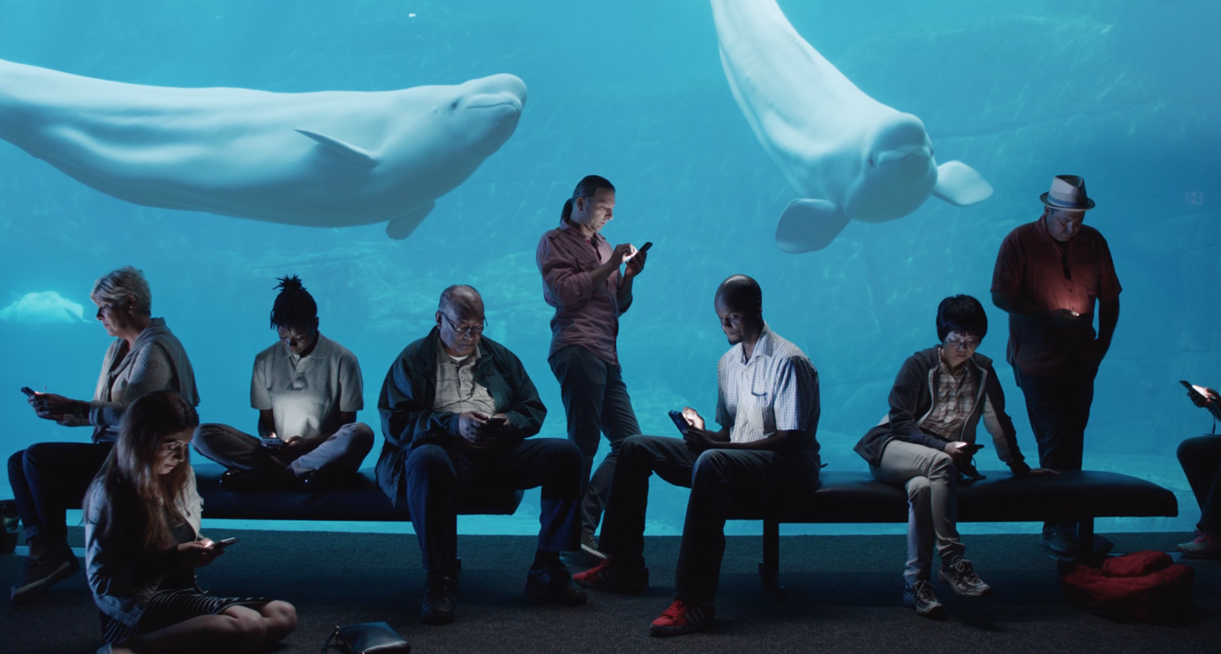 Screen Shot 2016-03-30 at 12.38.29 PM.png