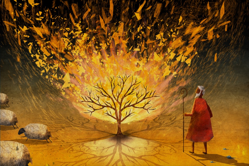 A Voice in the flames final art copy.jpg