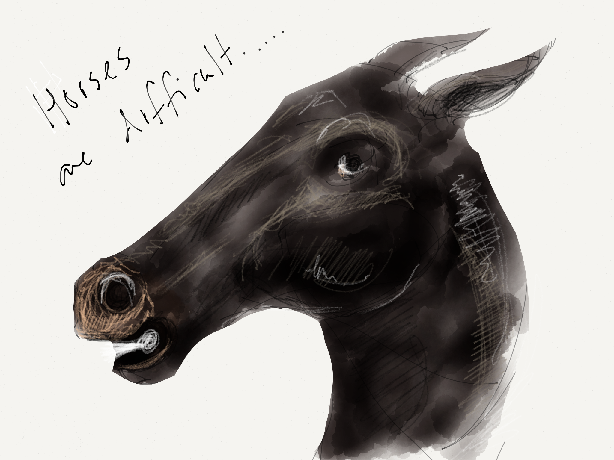 Photo 21-02-2013 22 28 54.png