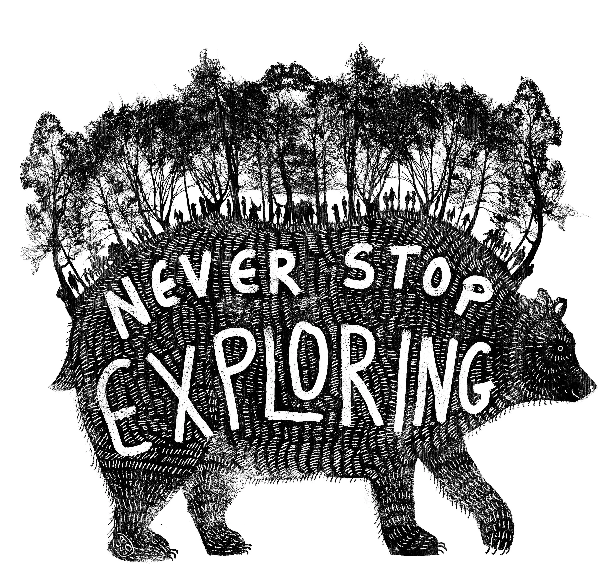 NSE Forest Bear.jpg