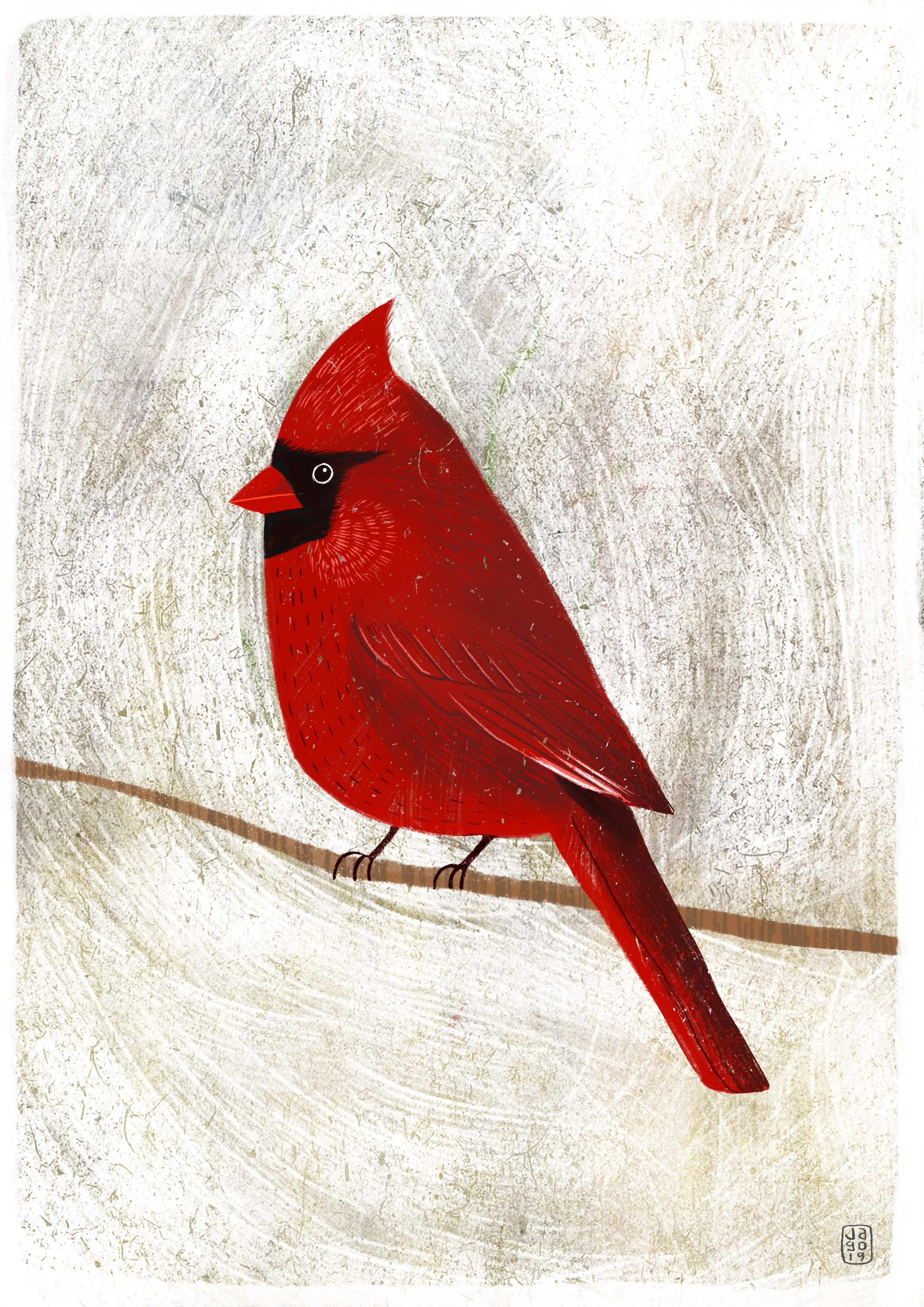 Daily Drawing Challenge Day One Jago Illustration