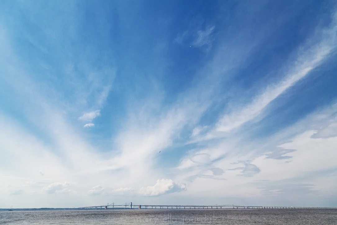 aIMG_0312-5.jpg