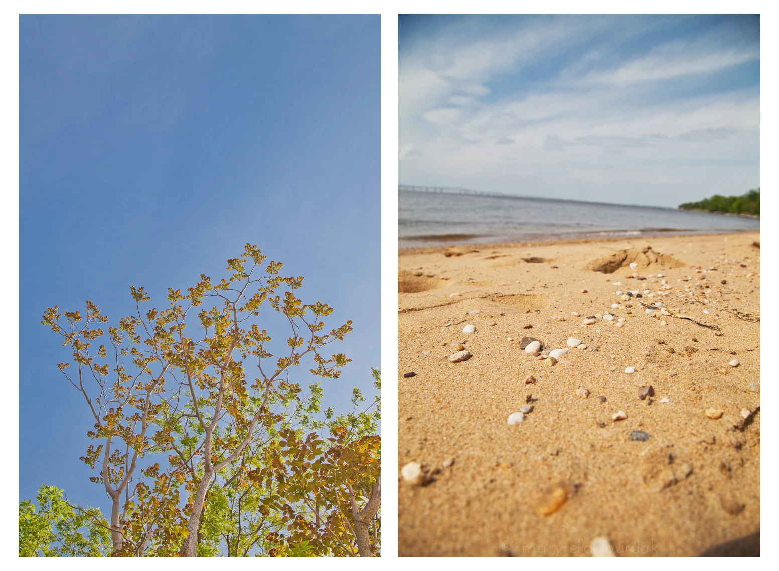 aIMG_0320-8.jpg