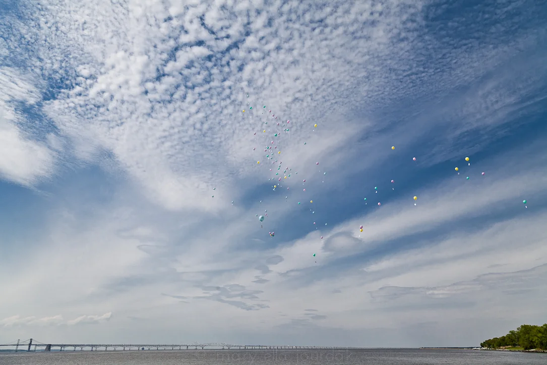 aIMG_0354-15.jpg