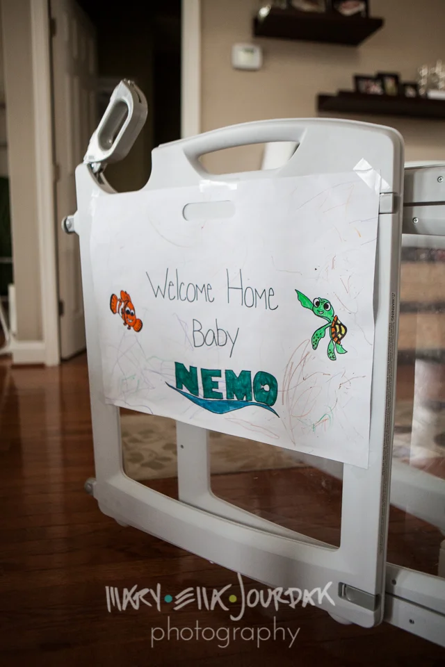pixar baby nemo crush infant photography mary ella jourdak