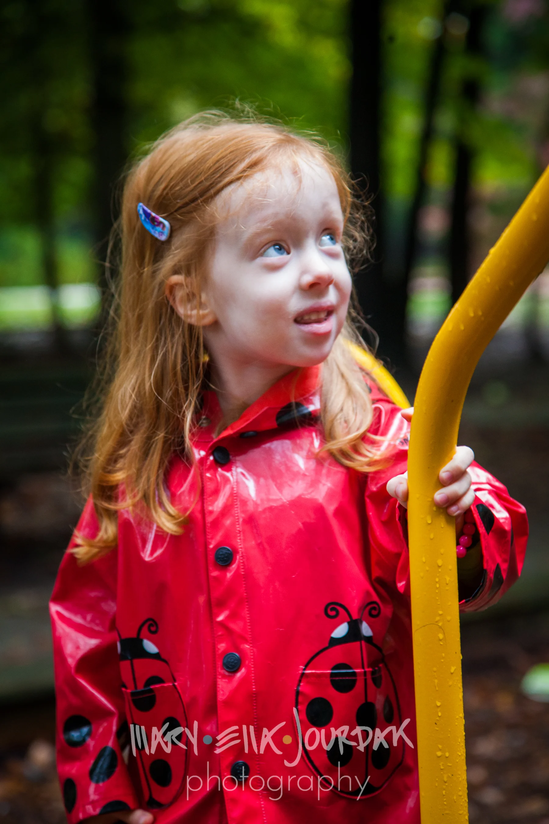 preview-IMG_5409-0015.jpg