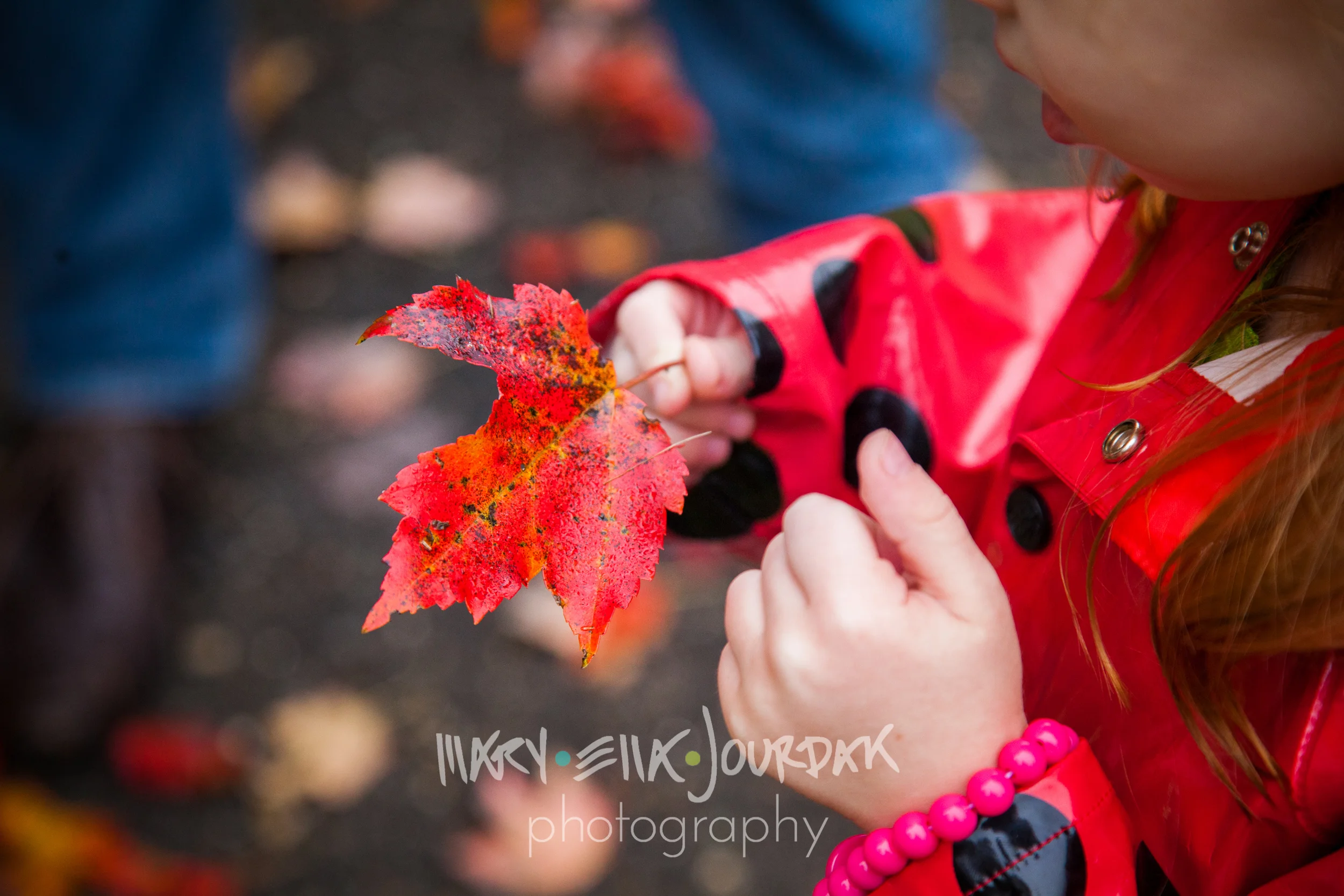 preview-IMG_5496-0025.jpg
