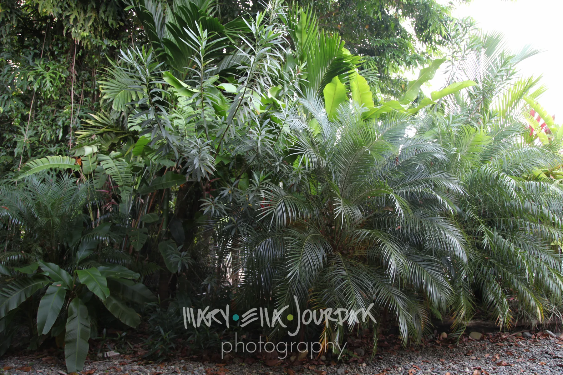 costa-(IMG_7369)-019.jpg