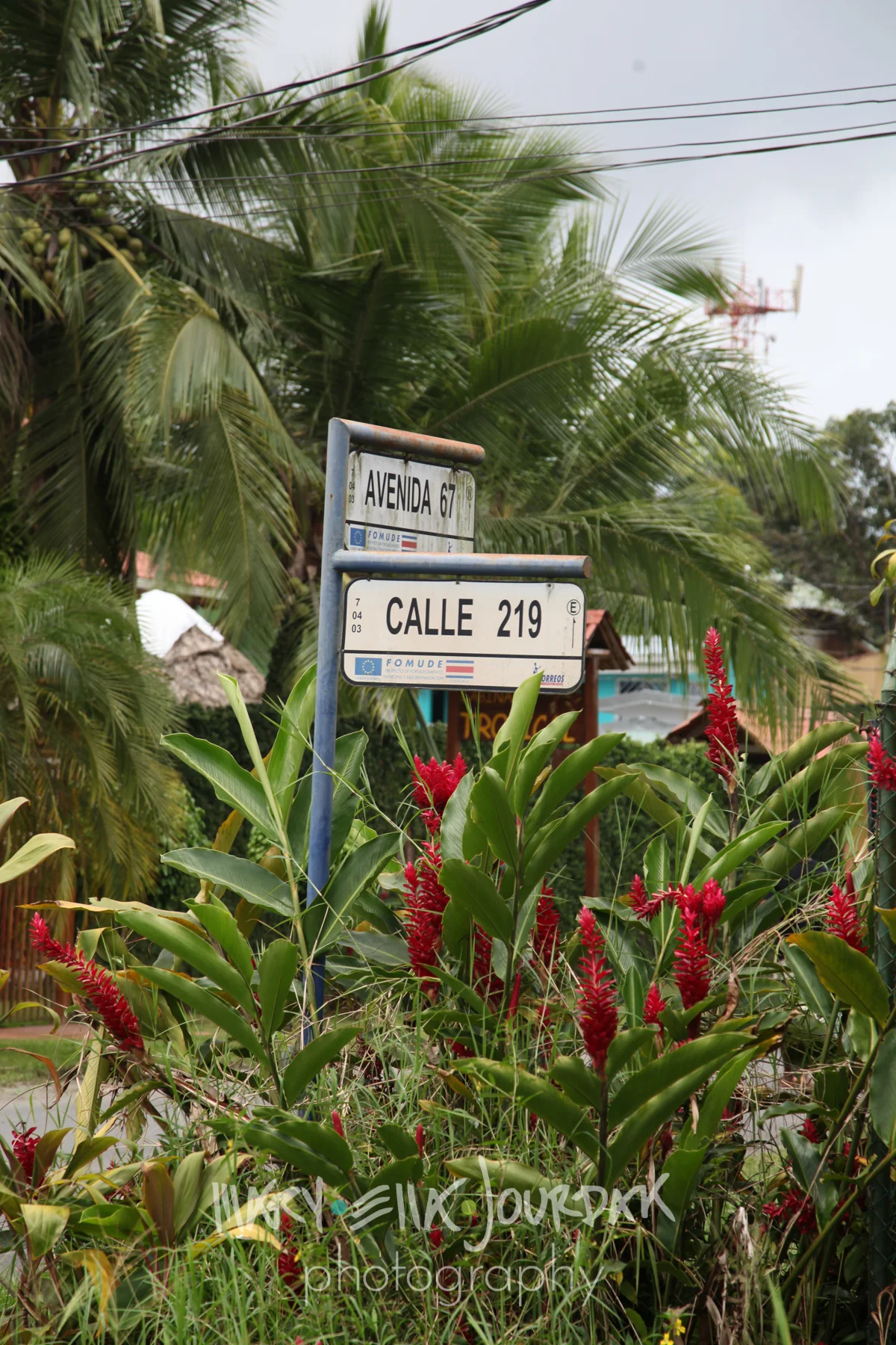 costa-(IMG_7435)-046.jpg