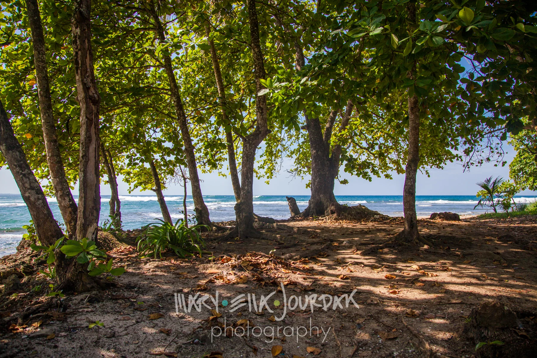 costa-(IMG_7773)-105.jpg