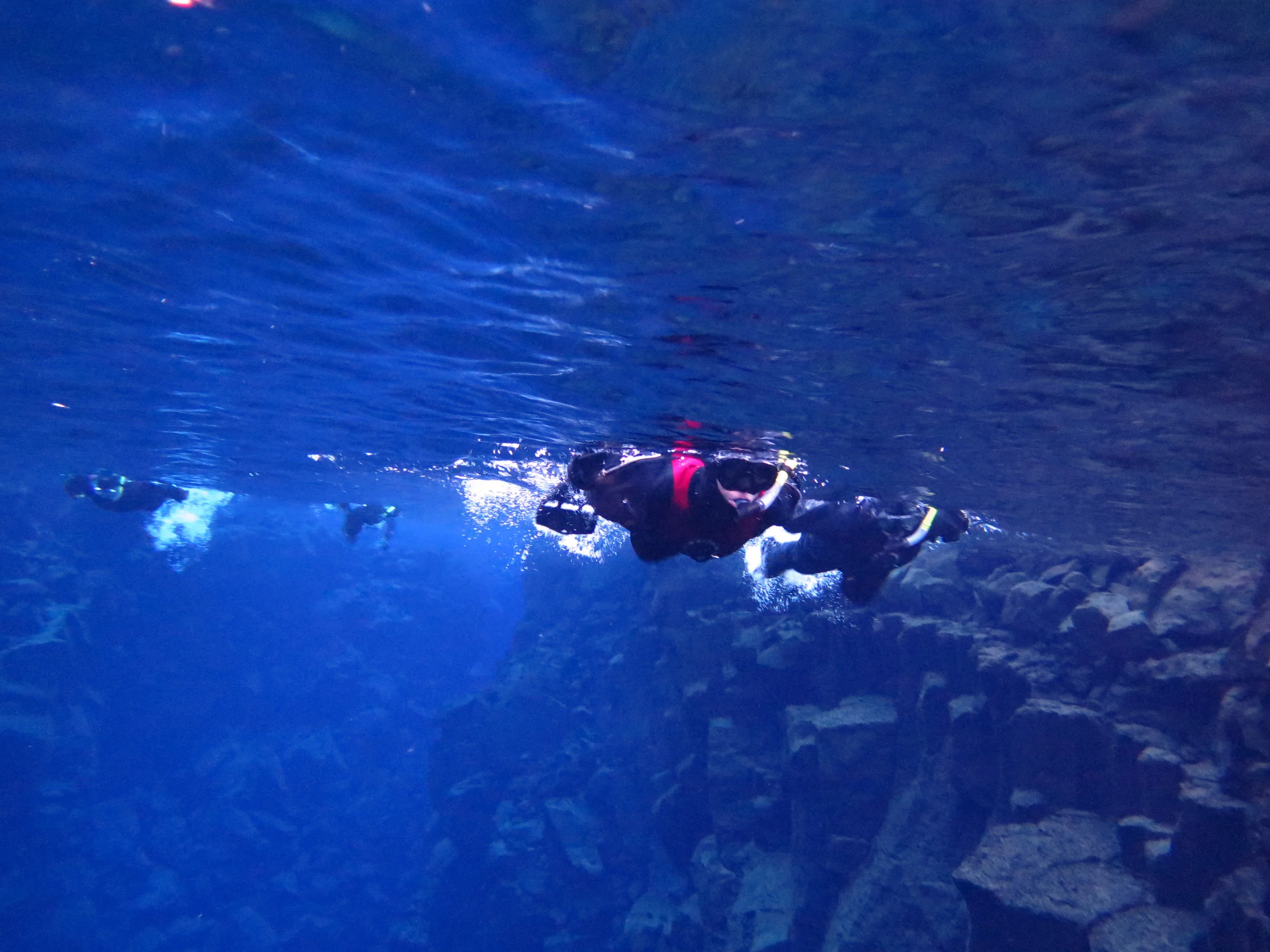 Photo courtesy of dive.is