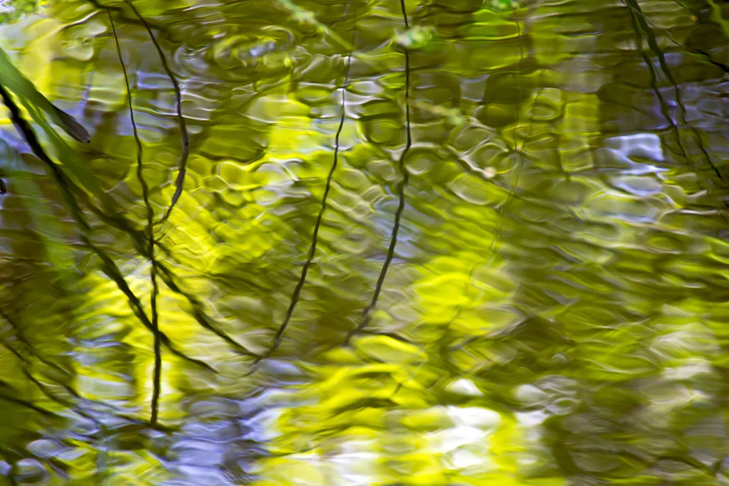 Ripple and Shadows No. 1.jpg