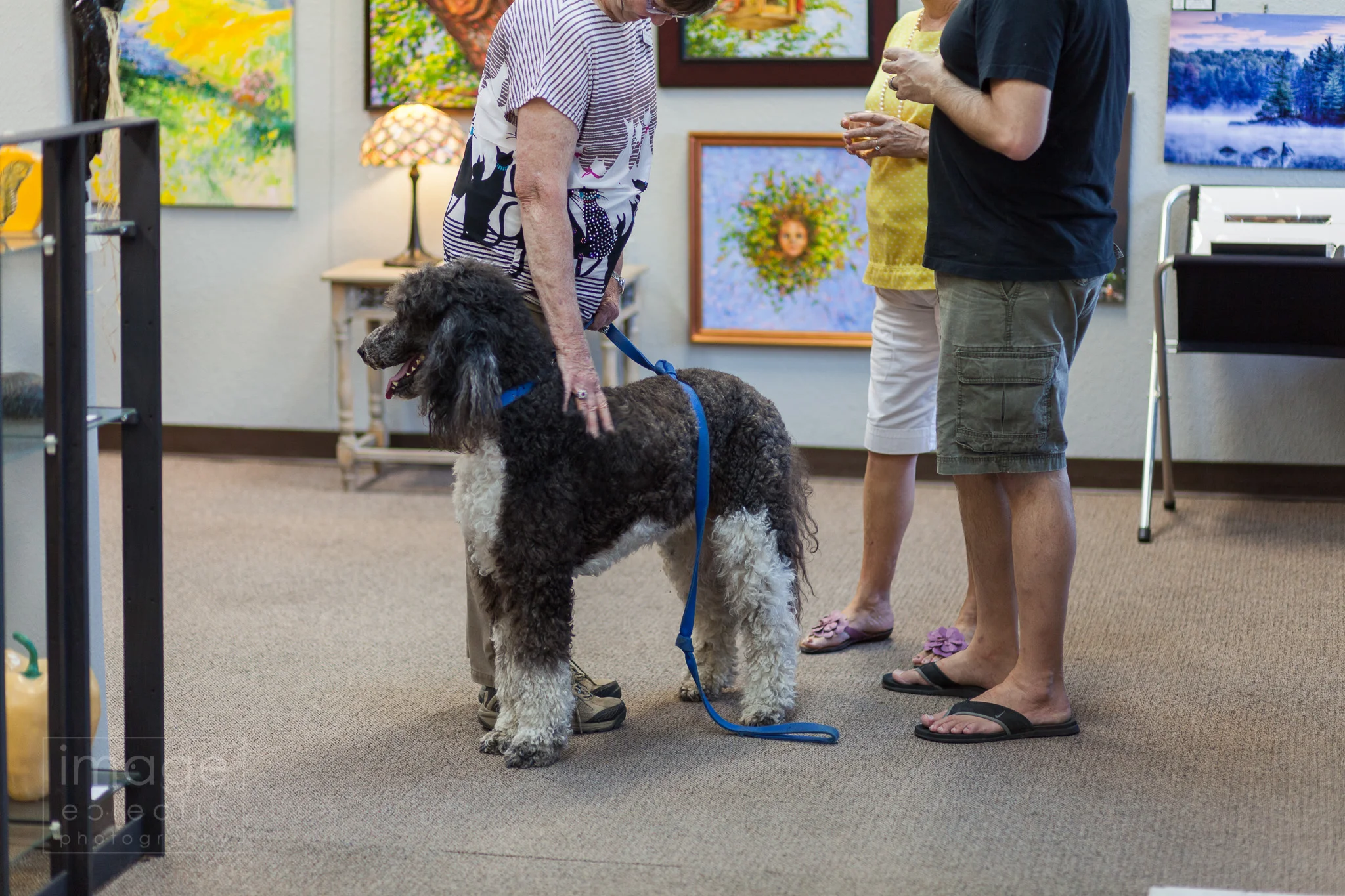 Art Dog