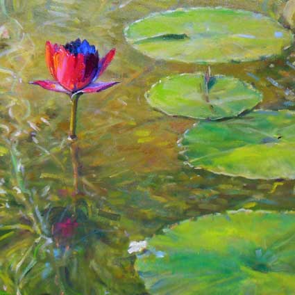 Lily Pads