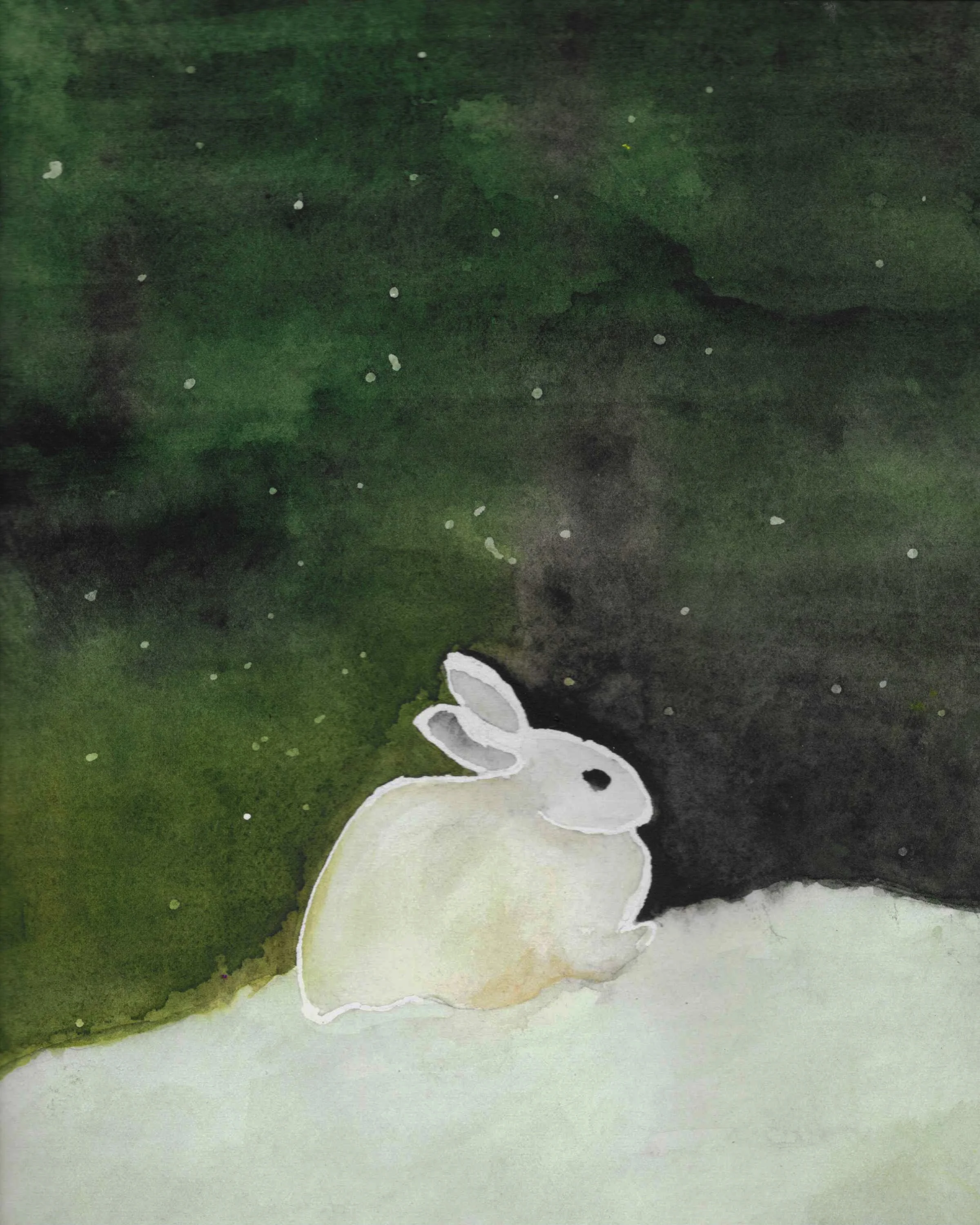frozen bunny.jpg