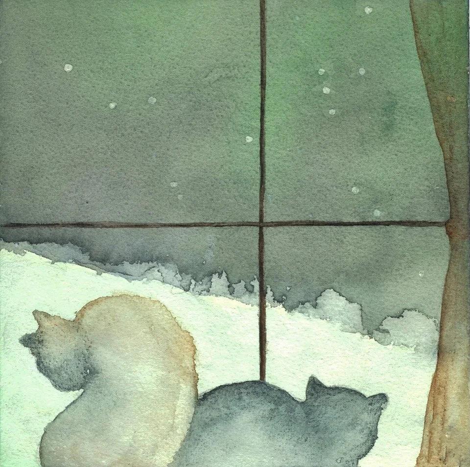 snow cats.jpg