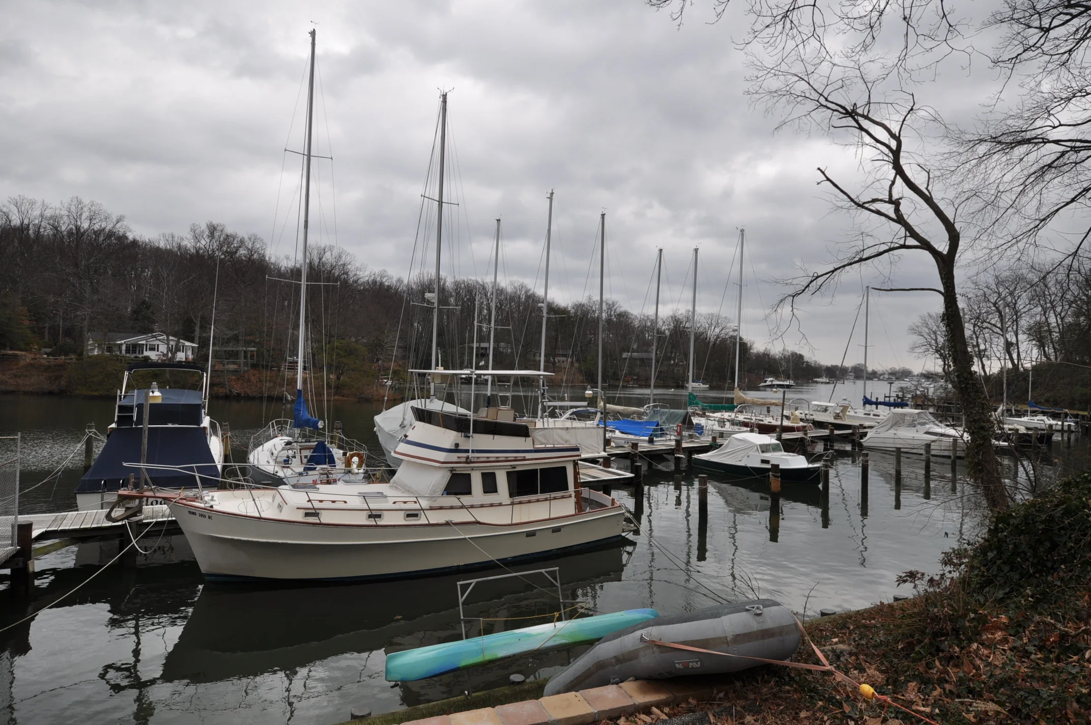DSC_0227.JPG