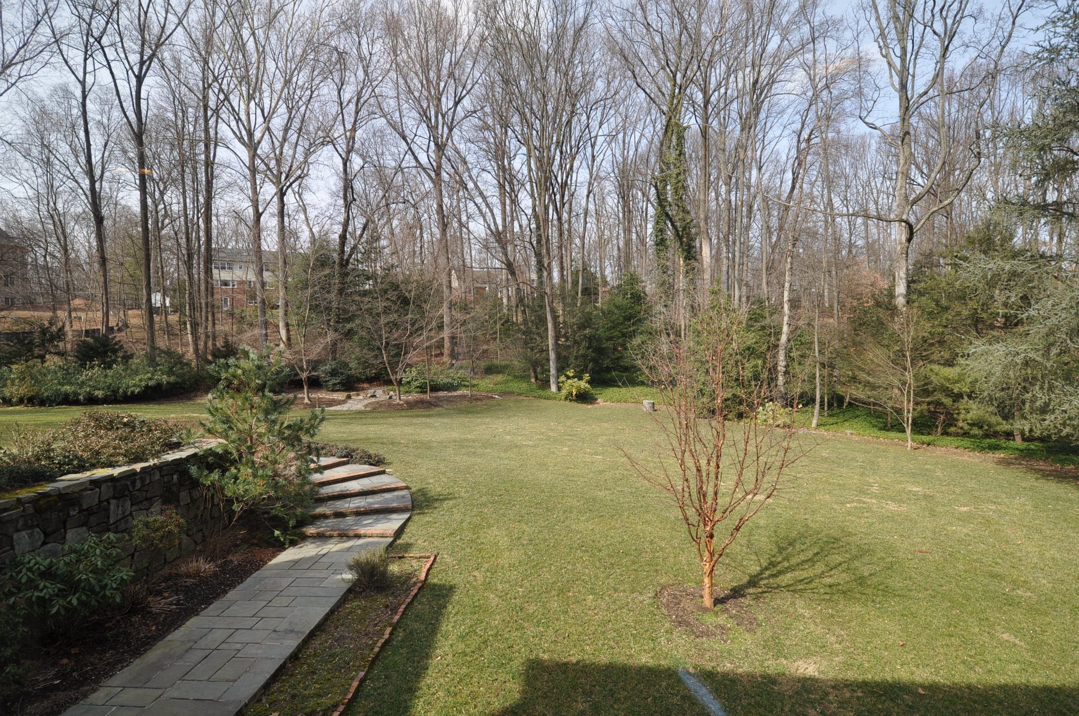 DSC_0663.JPG