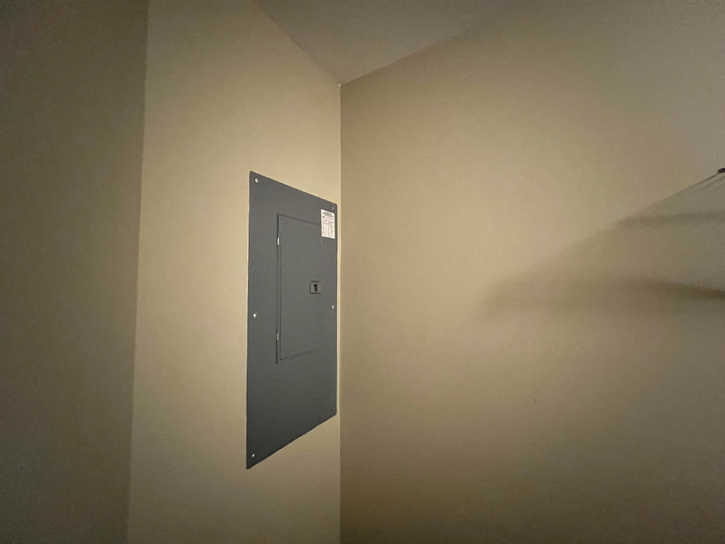 IMG_6139.jpeg