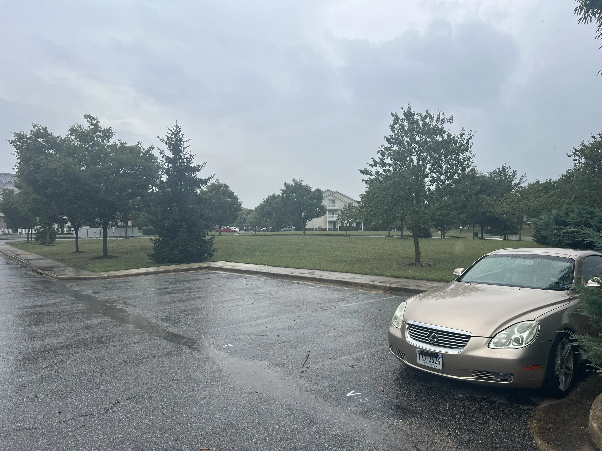 IMG_6173.jpeg