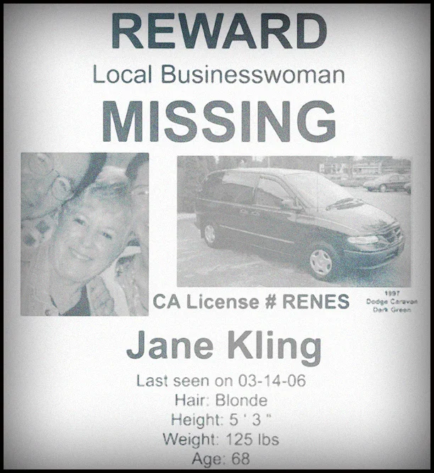 Lauri-Taylor-missing-woman-poster.jpg