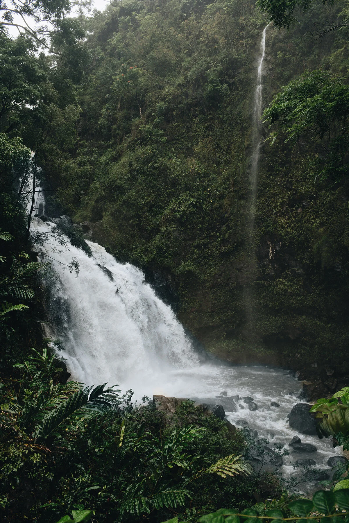 Waikani