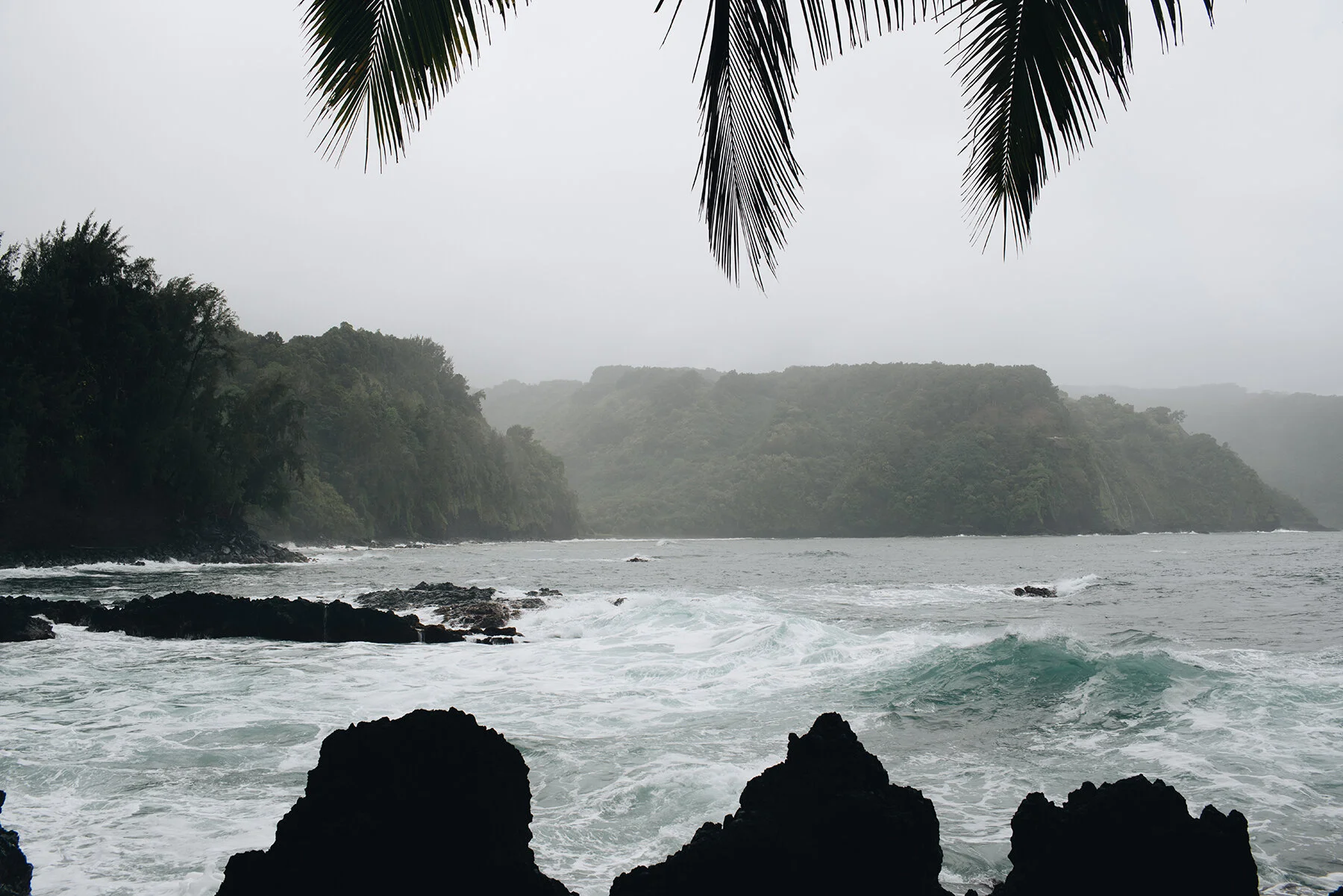 Maui Shore