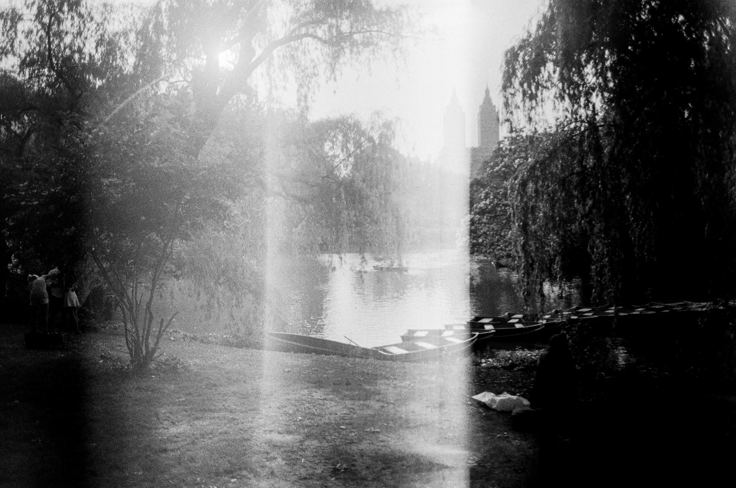 Park in B&amp;W