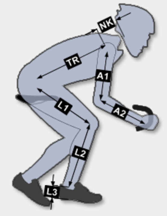 Cyclistdimensions.png