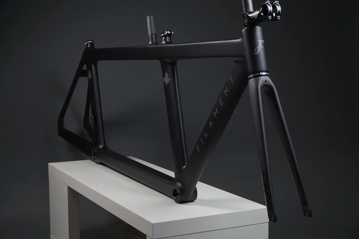 Matt black bespoke paint job with Canada maple leaf motif on the Filament aero TT bike.