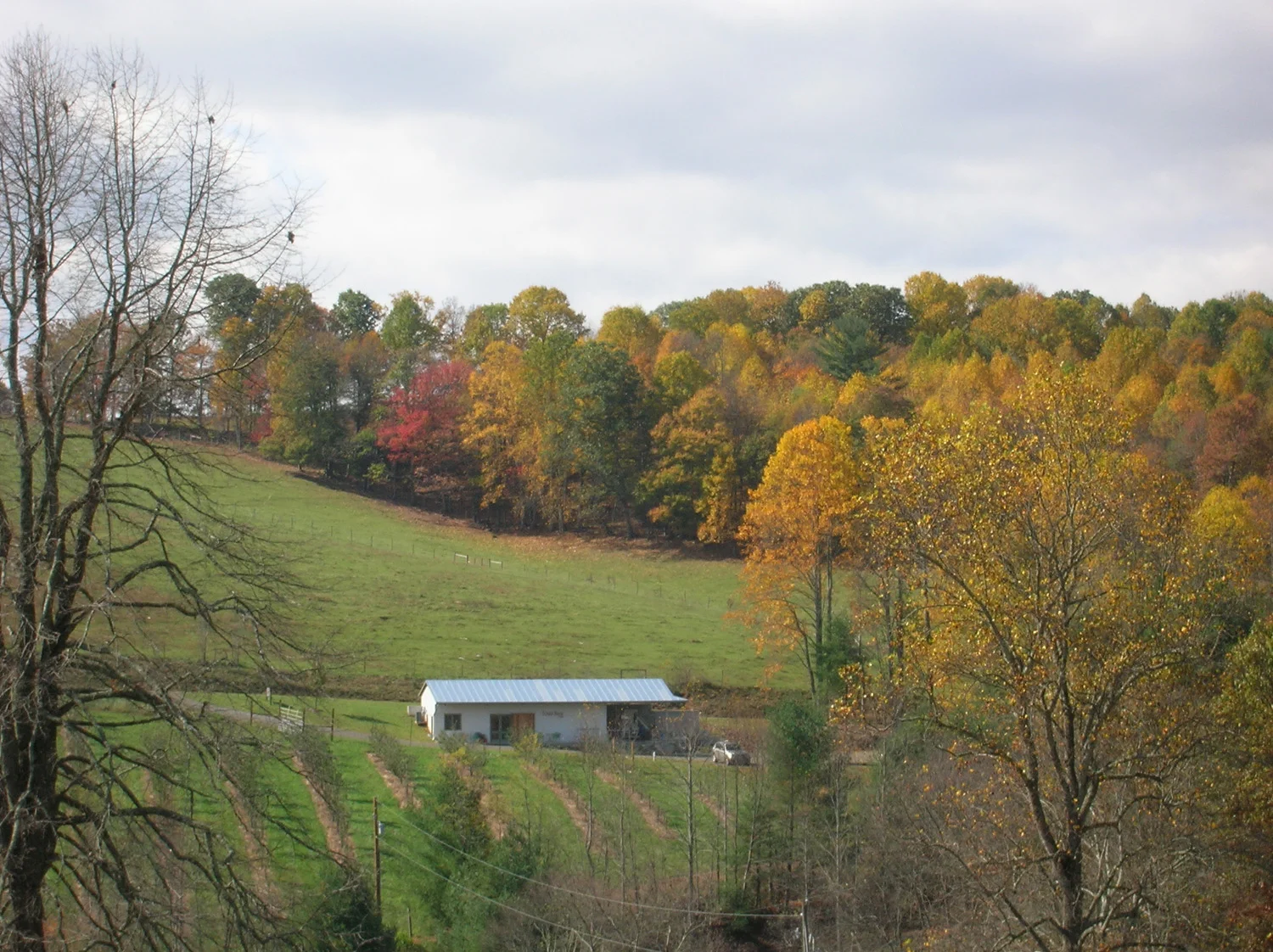 Foggy Ridge Cider, Autumn 2
