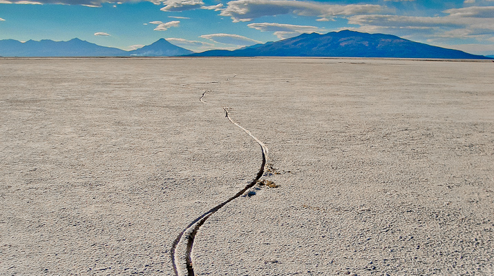 Condor_Tracks