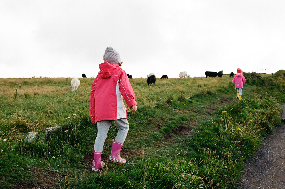 moher_girls_cows.jpg