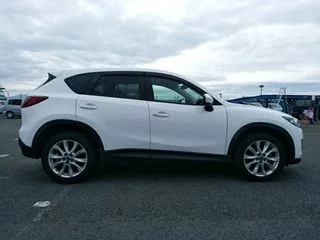 CX5 -Pearl.jpg