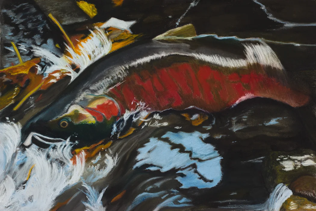 The Last Run - A Coho's Journey to Idaho ca. 1986_web.jpg