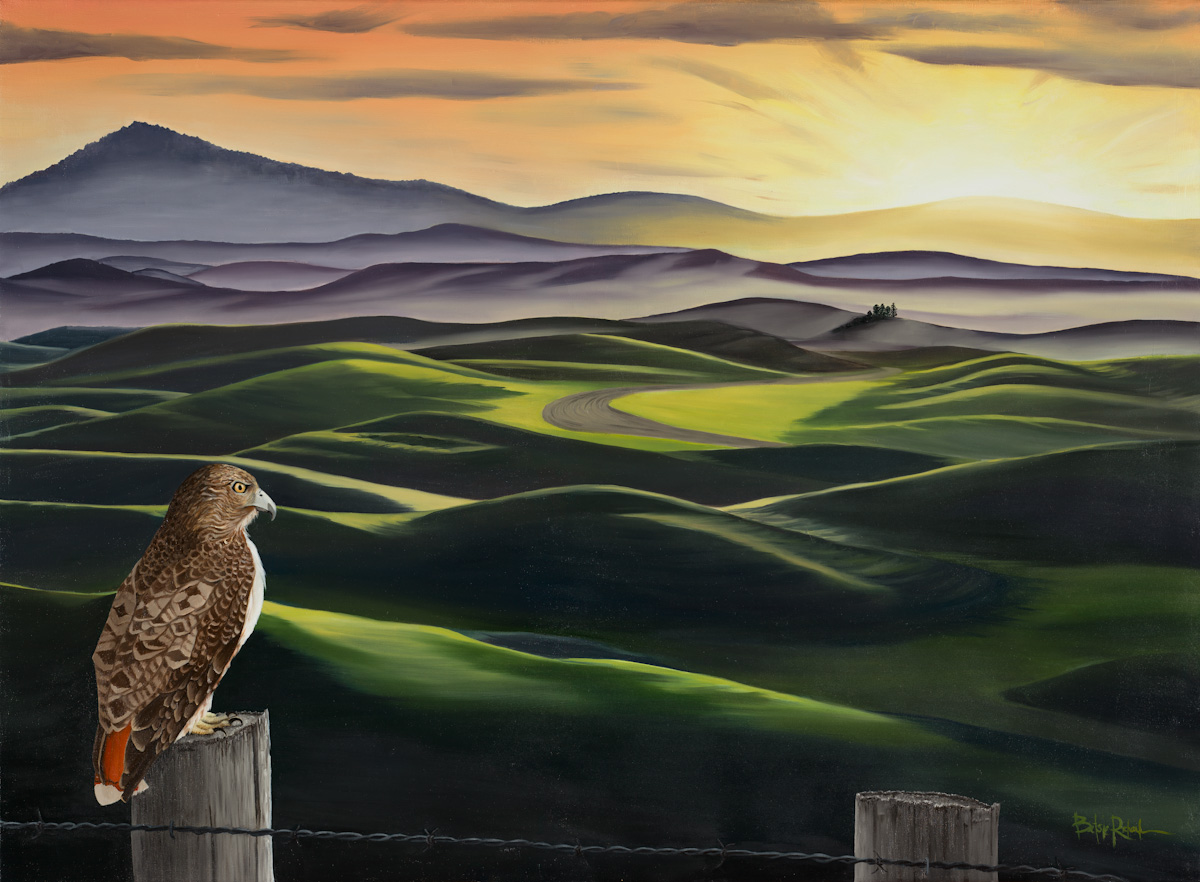 A New Day Rises over the Palouse