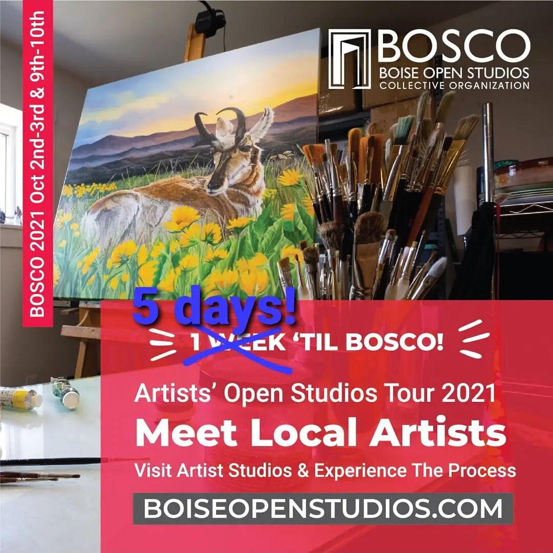 Come party with us at Spaceport Studios for the annual BOSCO tour and witness artists in our natural environment! October 9th &amp; 10th / 10 AM - 6PM.
.
112 East 33rd Street, Garden City 83714