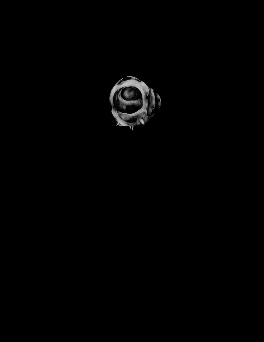 Atomic Bomb Explosion at the Microscopic Level