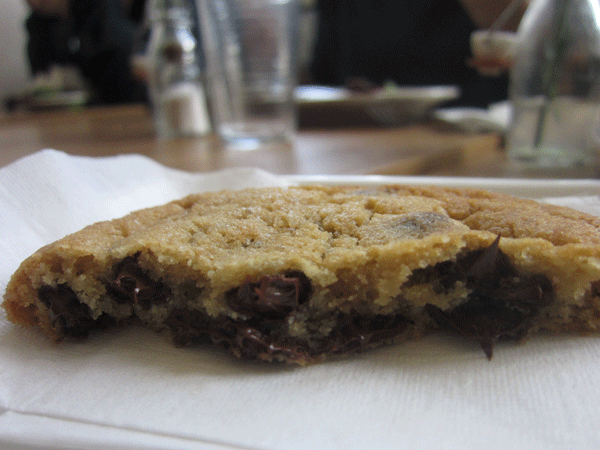7IMG_1536.gif