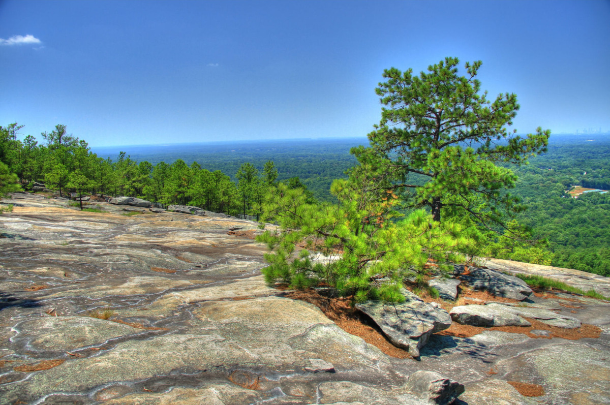 img_2654_5_6_tonemapped2_sm.jpg